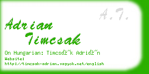 adrian timcsak business card